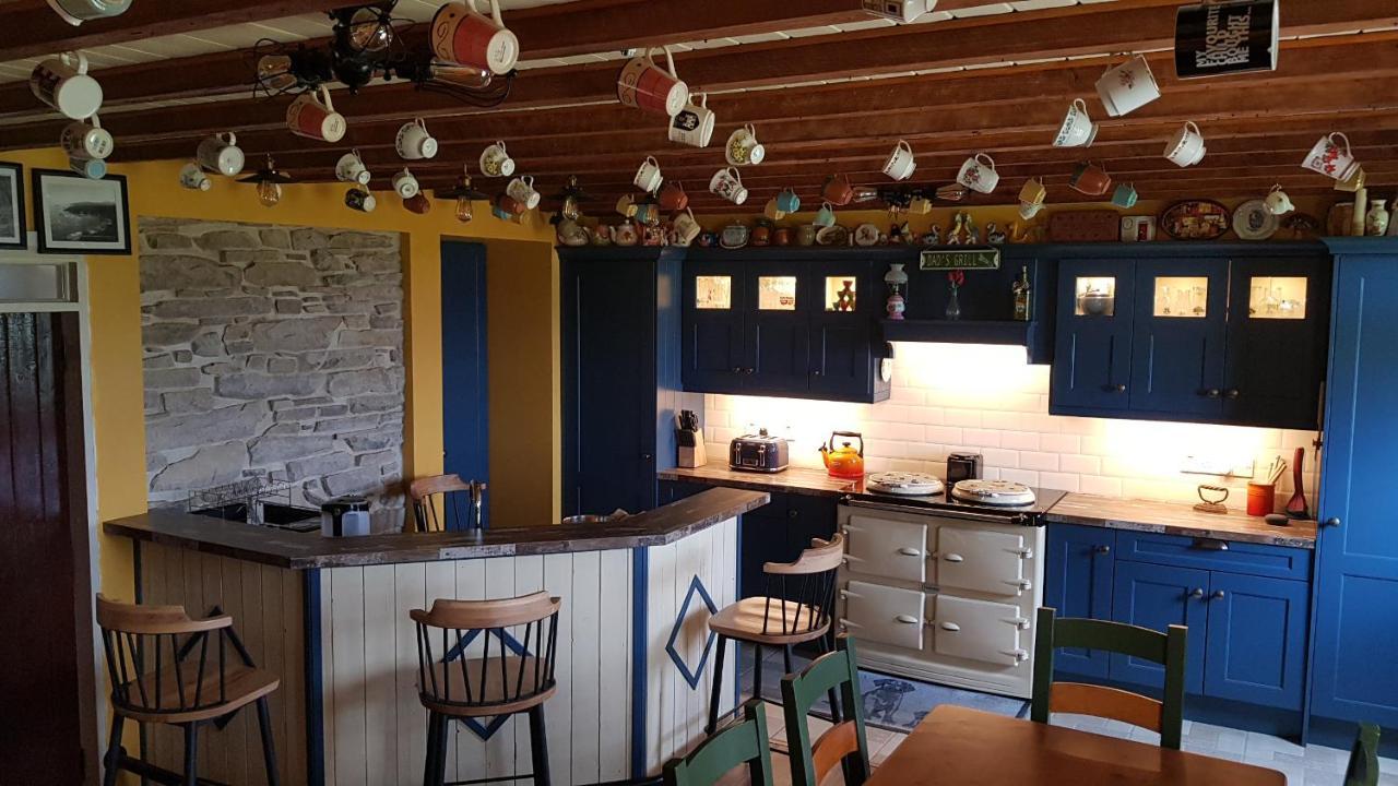 Traditional Irish Farmhouse 安纳斯考尔 外观 照片