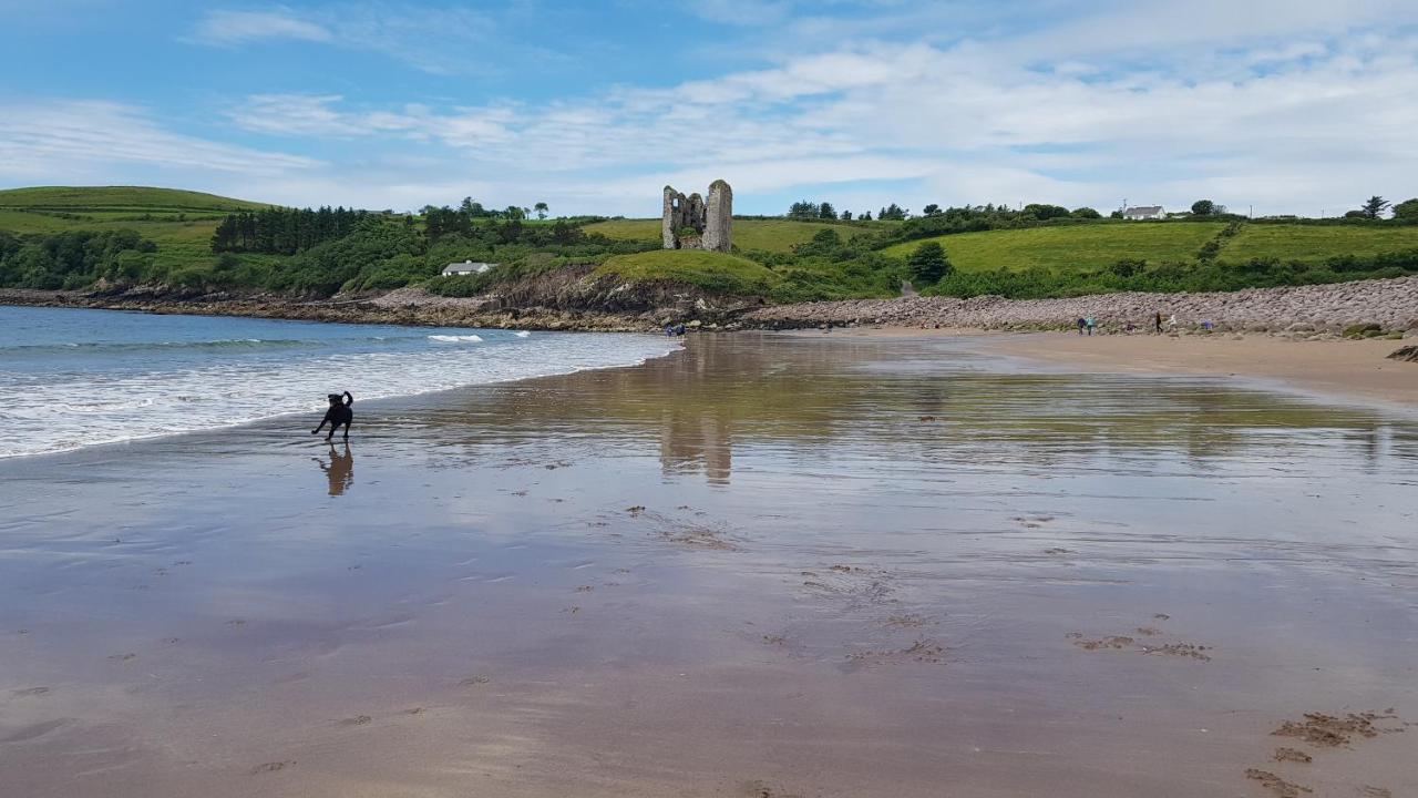 Traditional Irish Farmhouse 安纳斯考尔 外观 照片