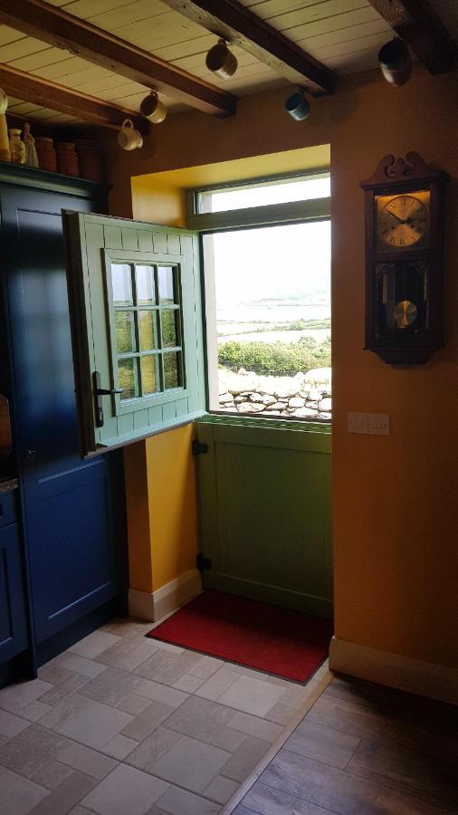 Traditional Irish Farmhouse 安纳斯考尔 外观 照片
