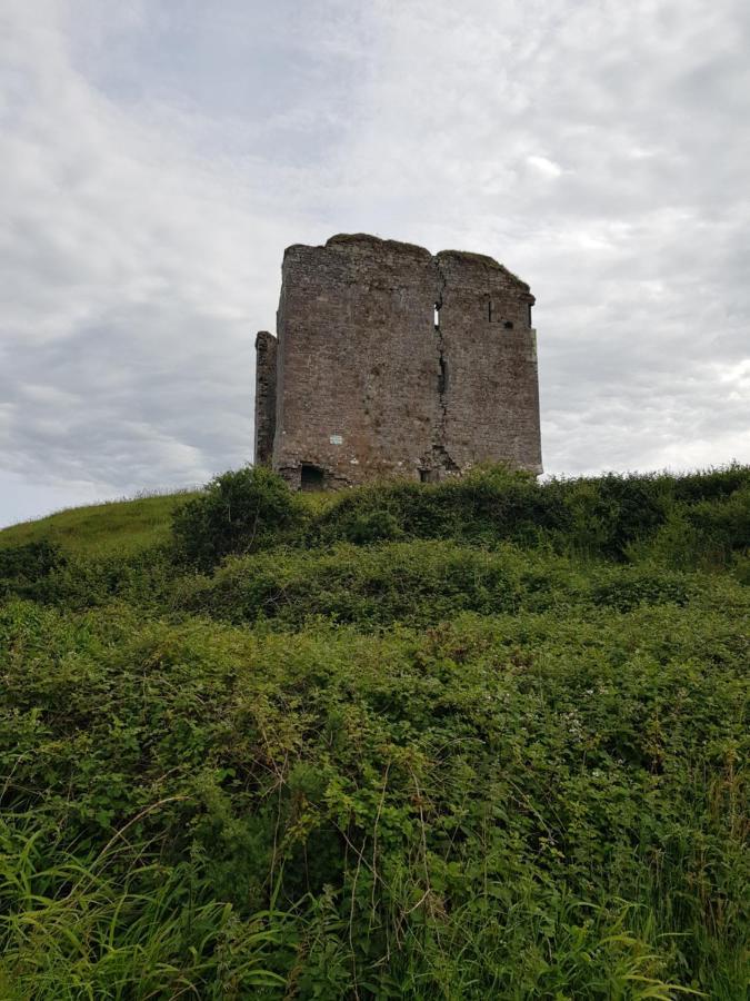 Traditional Irish Farmhouse 安纳斯考尔 外观 照片