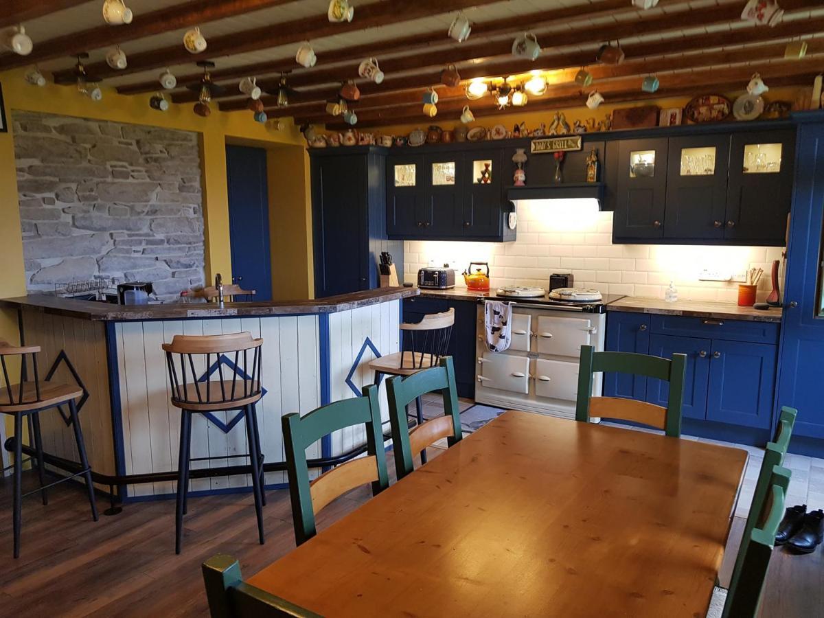 Traditional Irish Farmhouse 安纳斯考尔 外观 照片