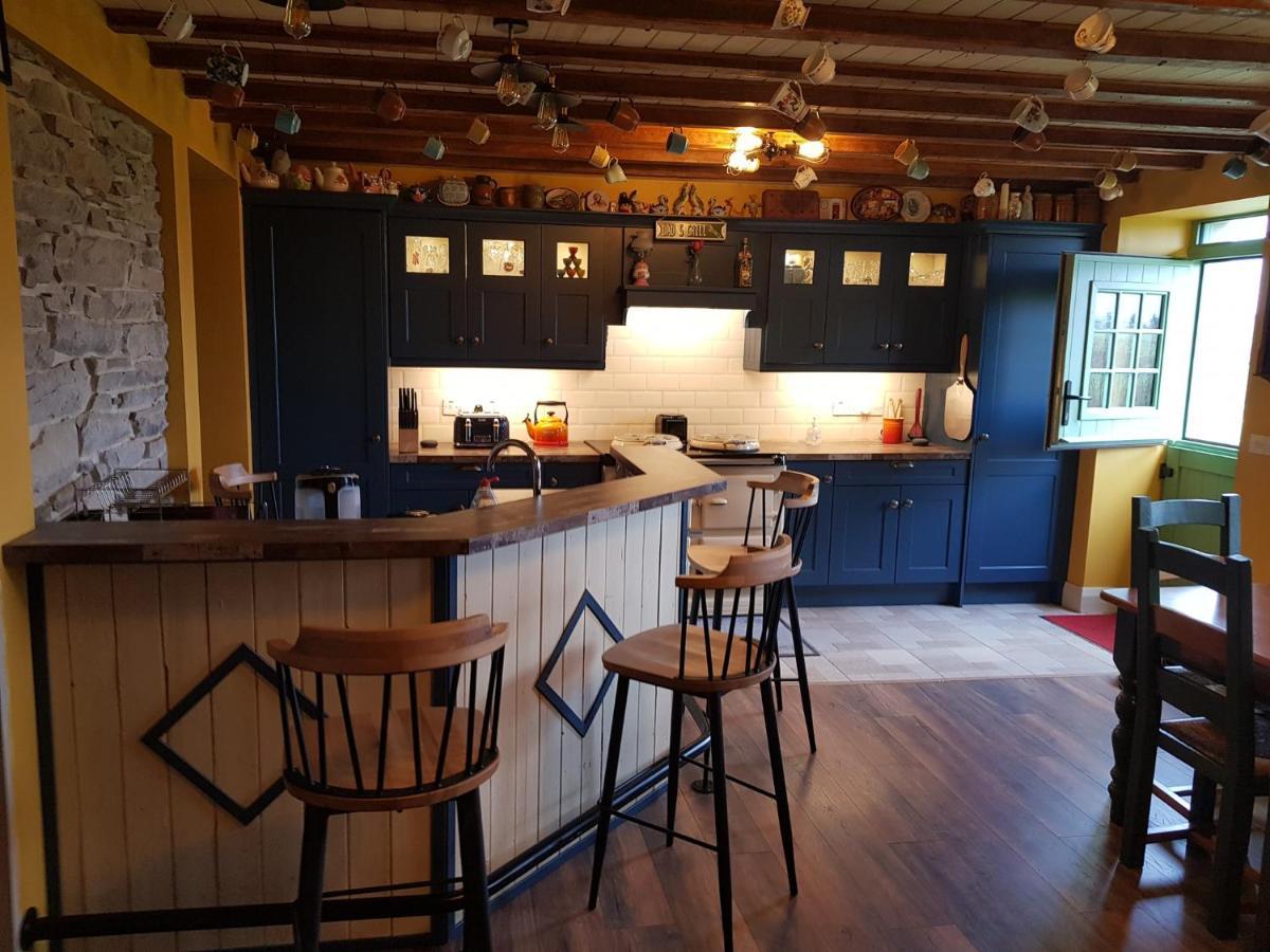 Traditional Irish Farmhouse 安纳斯考尔 外观 照片