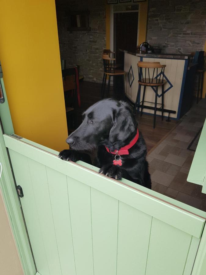 Traditional Irish Farmhouse 安纳斯考尔 外观 照片