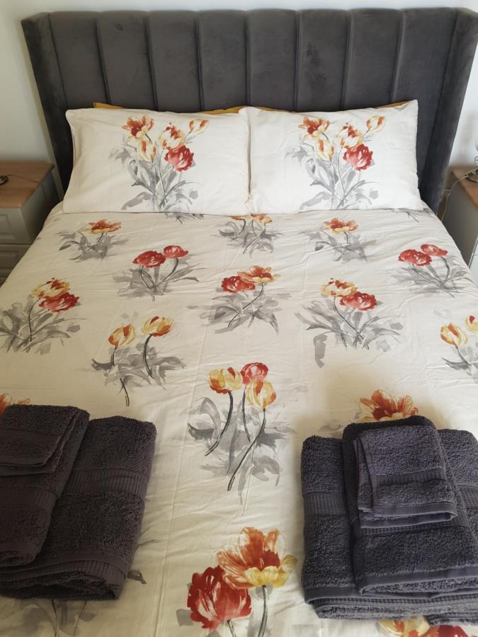 Traditional Irish Farmhouse 安纳斯考尔 外观 照片