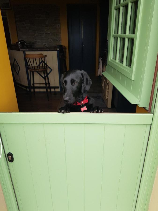 Traditional Irish Farmhouse 安纳斯考尔 外观 照片